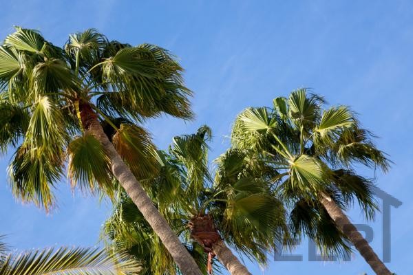 LANDHOTEL IN SAN BARTOLOMÉ DE TIRAJANA